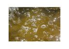CentraSep - Caustic Chemicals Separation and Filtration Systems