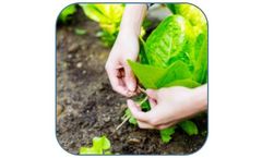 Food for Thought on Earth Day 2021