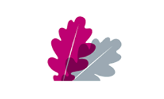 Natural Environment Services
