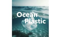 Can Compostables Help Reduce Ocean Plastic?