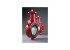 Bray - Model Series 20/21 - Resilient Seated Butterfly Valve