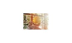Mining solutions for workplace safety sector