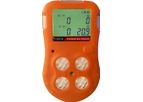 IMR - Model IX 616 - Combustible and Toxic Portable Four Gas Detector