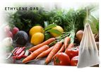 SMELLEZE Reusable Ethylene Absorber Pouch: Treats Over 300 Sq. Ft.