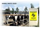 SMELLEZE Natural Poop Smell Removal Deodorizer: 2 lb. Granules. Removes Fecal Stink
