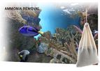 AMMOSORB - Natural Aquarium Toxic Ammonia Absorber Pouch: Medium