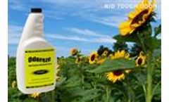ODOREZE Natural Odor Eliminator Concentrate: Makes 64 Gal. to Fight Stinky Clothes