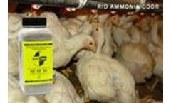 AMMOSORB - Eco Ammonia Smell Eliminators Deodorizing Granules: 50 lb.