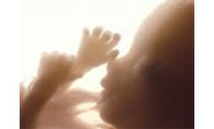 EU funded project examines whether household chemicals can affect your fertility