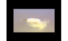 Shrimp Shield Aquaculture Microbes - Keeton Industries  Video