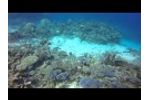 Australia. Great Barrier Reef - Part 1 - Video