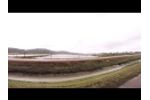 Australia Shrimp Farm - Video