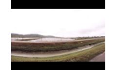 Australia Shrimp Farm - Video