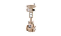 Model BR 01a - PTFE-lined Globe Control Valve