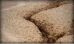 Soil Erosion and Sedimentation