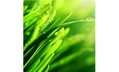 Bio-Driven - Model HC - Concentrate - Hydrocarbon Treatment Liquid Bacteria