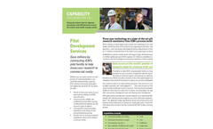 Pilot Development Services