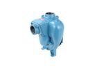 Model 8 - 2` x 2` Self Priming Centrifugal Pump