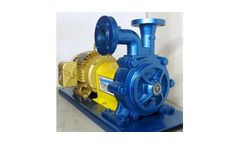 MAX RGT - Model 65FI - Flex Coupled Pumps