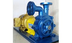 MAX RGT - Model 120FI - Flex Coupled Pump