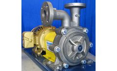MAX RGT - Model 120FS - Flex Coupled Pump