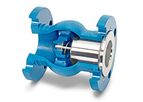 DFT - Model GLC - Flanged Check Valve
