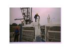 Field Services