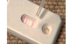 Ventia Rapid Home Allergen Test for Dust Mites -- INDOOR Biotechnologies Video