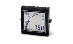 Trumeter - Model APM - Process Meter