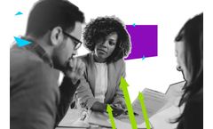 CBI - Economic Surveys Services