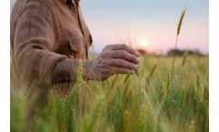 Grão Direto and Bayer collaborate to expand the reach and impact of sustainable practices in grain trading