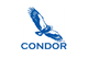 Condor Earth Technologies, Inc.