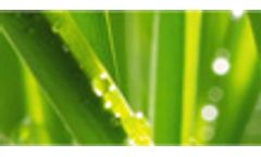 Geosystems for Infrastructure and Environmental Protection