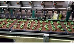 Bouldin - Model S - Plug Planter