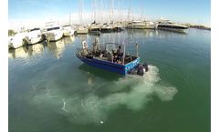 Beach-Trotters - Model Syrennis 5.5 - Boat