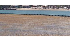 Beach-Trotters - Anti-Sargassum Barrier
