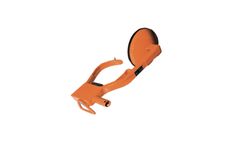 HOOK-LOC - Model D Series - Domed Immobilizer for Light Trucks