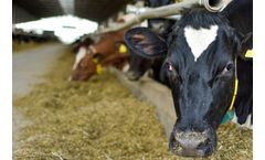 Analytical Instruments for Animal & Human Nutrition