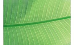BPC Joins European Research Institutes in a Major Greenhouse Gas Project
