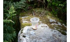 Are compostable plastic cups actually biodegradable?