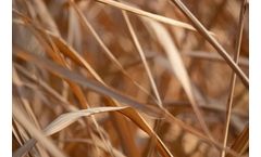 Case Study: Increasing biomethane production from plant material