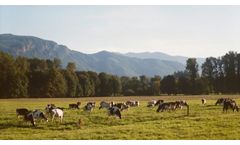 Gas Endeavour highlighted for animal nutrition applications