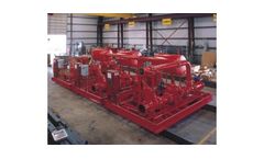 Peerless - Model B-1541 - Power Plant Fire Pump System