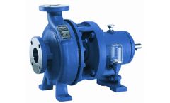 Peerless FireConnect LaBour - Model LVA - ANSI B73.1 - Heavy Duty ANSI Standard Process Pump