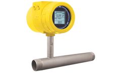 Vegetable Oil Hydrogenation Process Relies On H2 Gas Measurement With Thermal Flow Meter