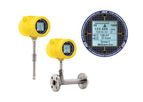 FCI - Model ST100A - Mass Gas Flow Meters
