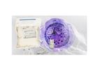 Natural Killer (NK) Cell Media, Instruments, and Reagents for Cell Therapy