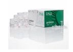 PureLink - Model 12183020 - RNA Mini Kit