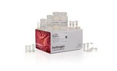 PureLink - Model 12183018A - RNA Mini Kit