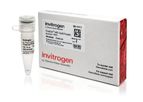TrueCut - Model HiFi Cas9 - Protein (1 µg/µL)